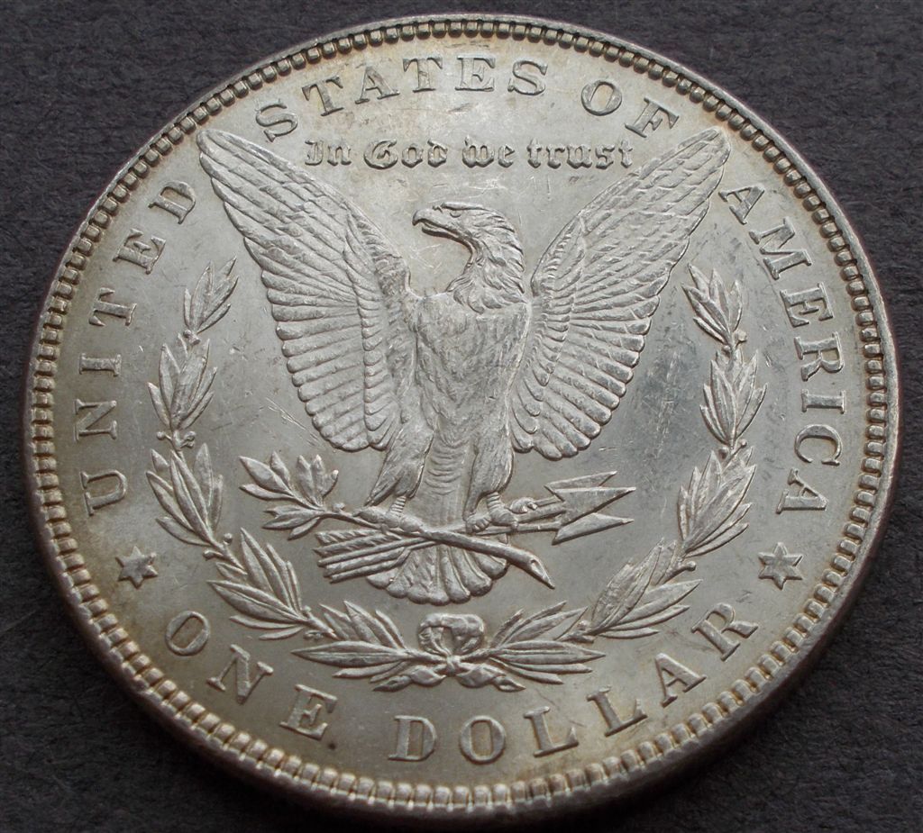 1883-Morgan